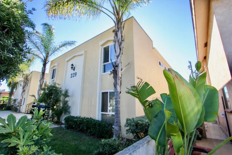 Two story condominiums surrounded by trees at Ebony Estates in Imperial Beach CA