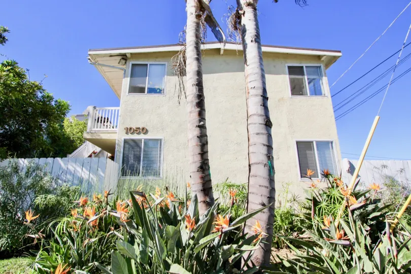 Two story housing with palm trees out front at Georgia Street Villas in Imperial Beach California