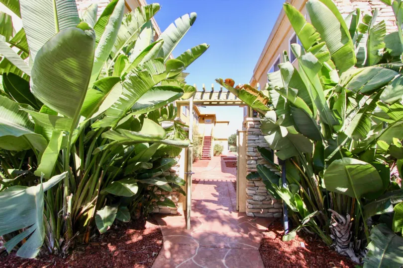 The entrance to a hallway surounded by palm trees and some houses in the background during a sunny day in Holly Avenue Condos, Imperial Beach, CA
