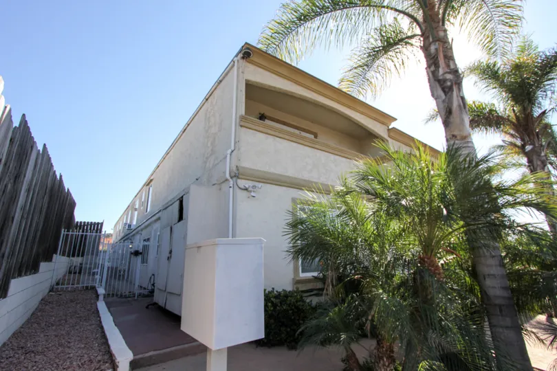 A palm tree in Imperial Palms giving the apartment gorgeous look with bright sunshine.