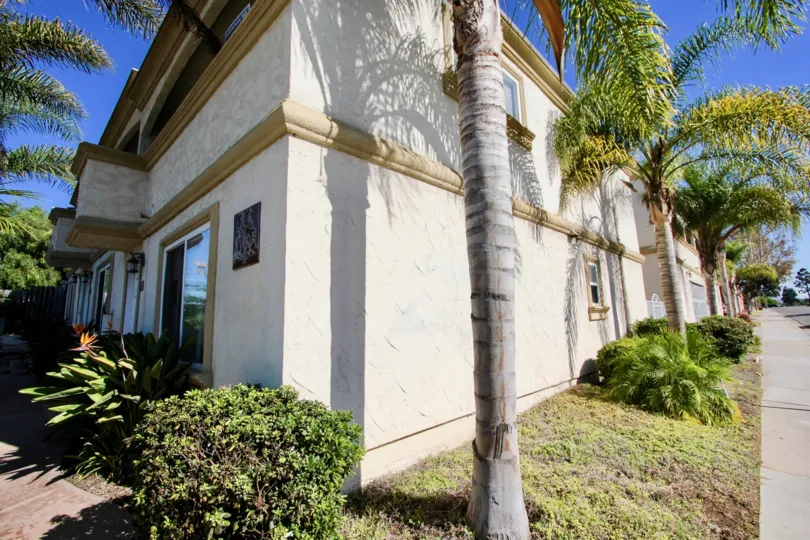 Imperial Palms community surrounded by sunshine and palm trees
