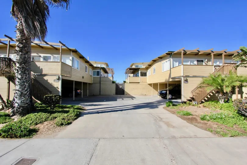 Two properties sharing a drive way in La Boca Rio with a large palm tree