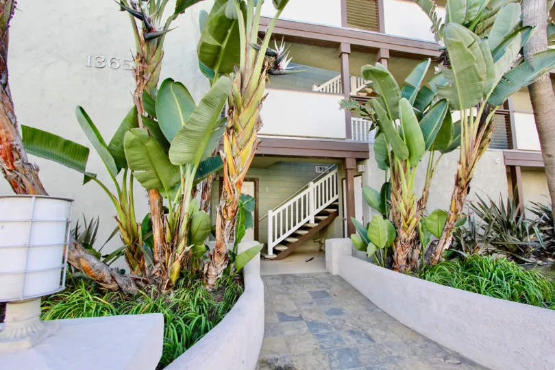 Palm trees in front of residential units at On Seacoast in Imperial Beach California