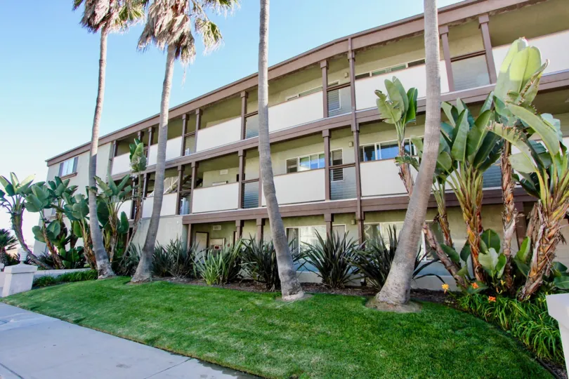 Three story residential units with palm trees inside On Seacoast in Imperial Beach CA