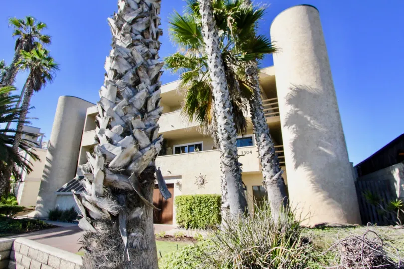 Palm trees in the yard of a modern home in Peerless Shores community.