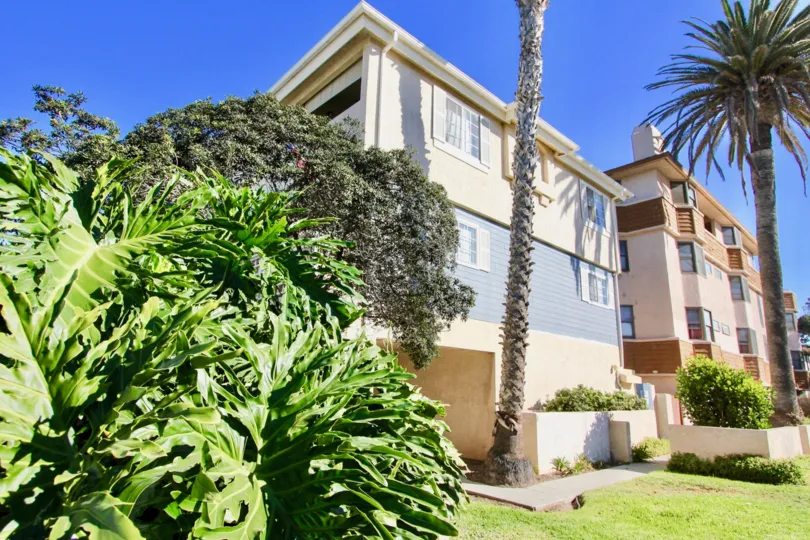 Playa Date, City: Imperial Beach, backside of the building with beautiful trees