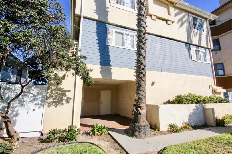Backyard of duplex home with walking park in Playa Date.