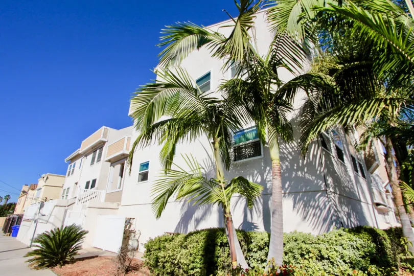 A large building with palm trees that are right in front located in Sandcastle Townhomes.