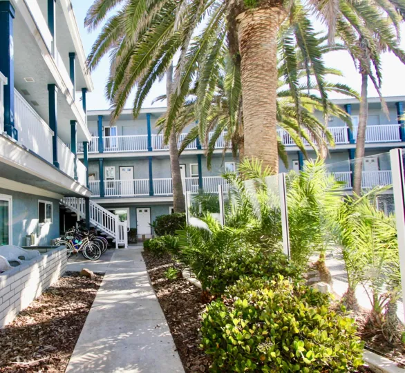 Large palm tree surrounded by residential units at Sea Village in Imperial Beach California
