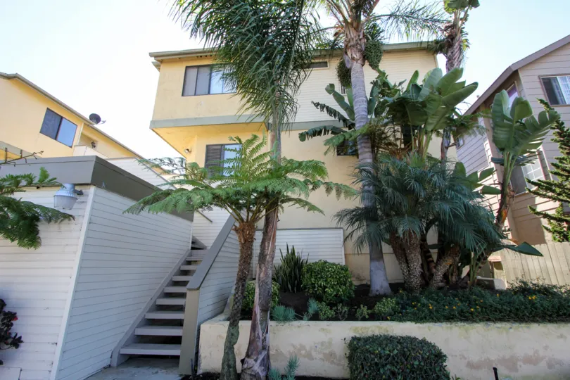 Sunny housing front with multiple palm trees and shrubs