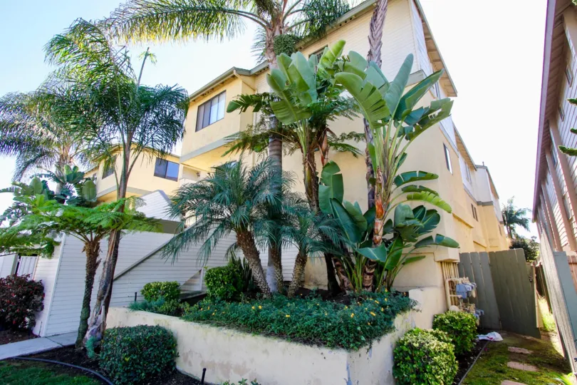 Tall palms before a three-story yellow building in Tradewinds neighborhood