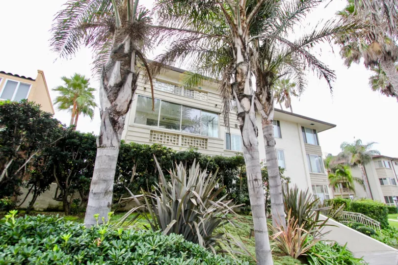 220-240 coast apartment has tall trees and plants flowers
