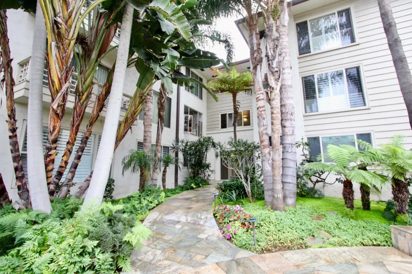 Stone walkway between palms & units inside 220-240 Coast in La Jolla CA