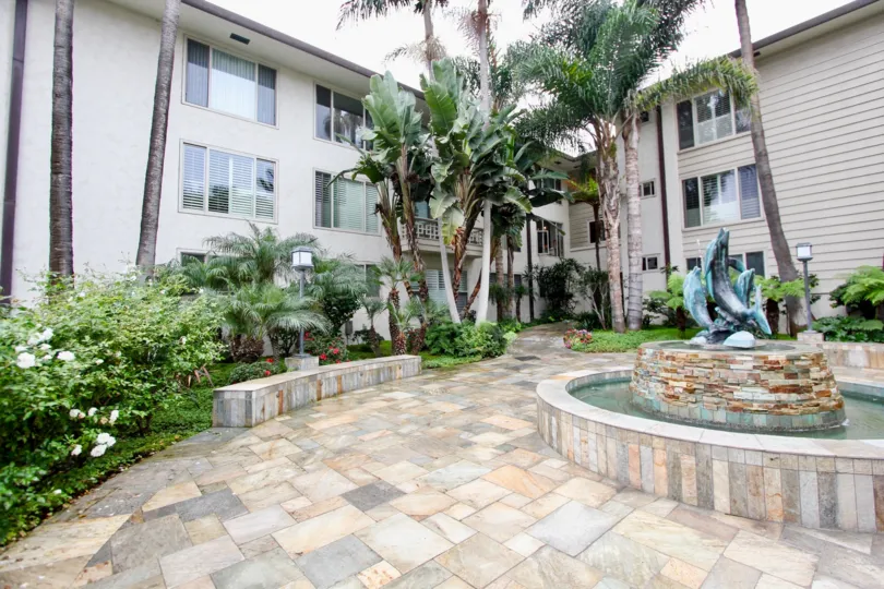 220-240 Coast, City: La Jolla, back portion of a beautiful building with nice trees and windows