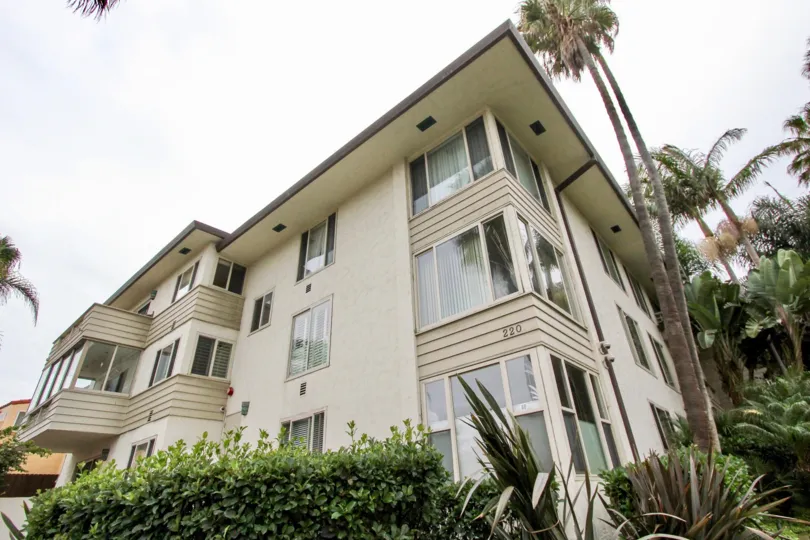 Apartment in the 220-240 coast with tall trees and bushes