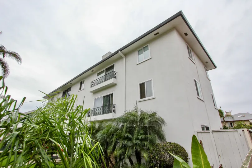 The apartment in 230 prospect has trees, plants and bushes