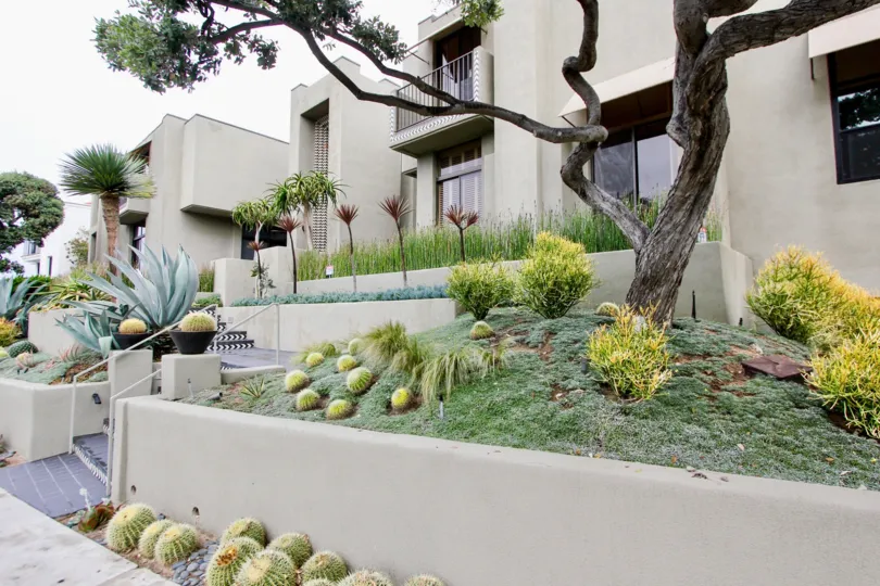 This is a 939 coast of Lala Jolla, California and it is very beautiful