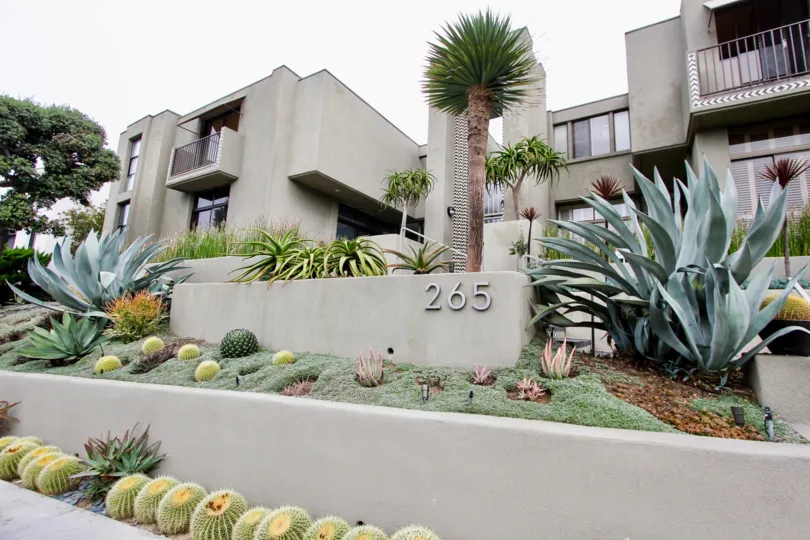 The park in the 265 coast is decorated with different bushes, plants and bushes