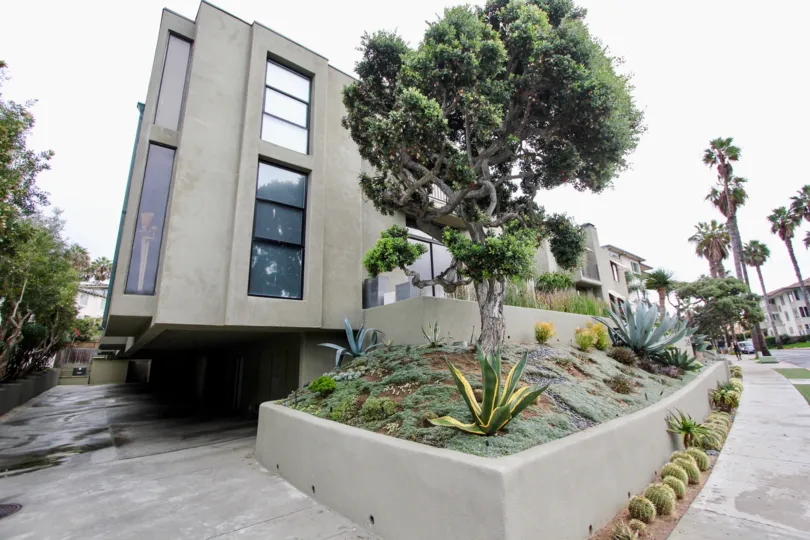 A sunny day in the 265 Coast with residential building and plants.
