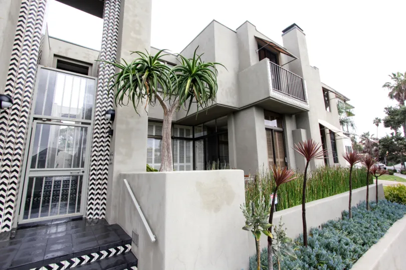 Palm trees & exotic plants at 265 Coast in La Jolla California