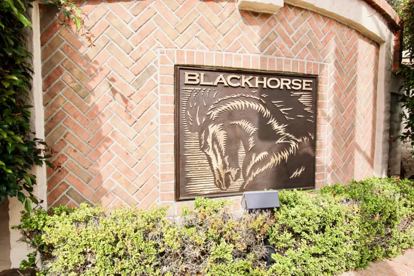 The building of Blackhorse shows the picture of horse in front gate