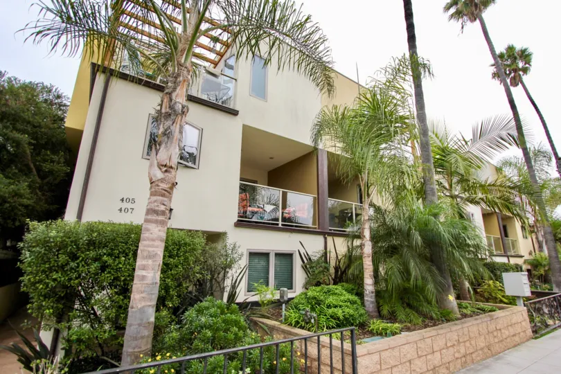 There was a large number of trees outside the Bonair Street Condos building