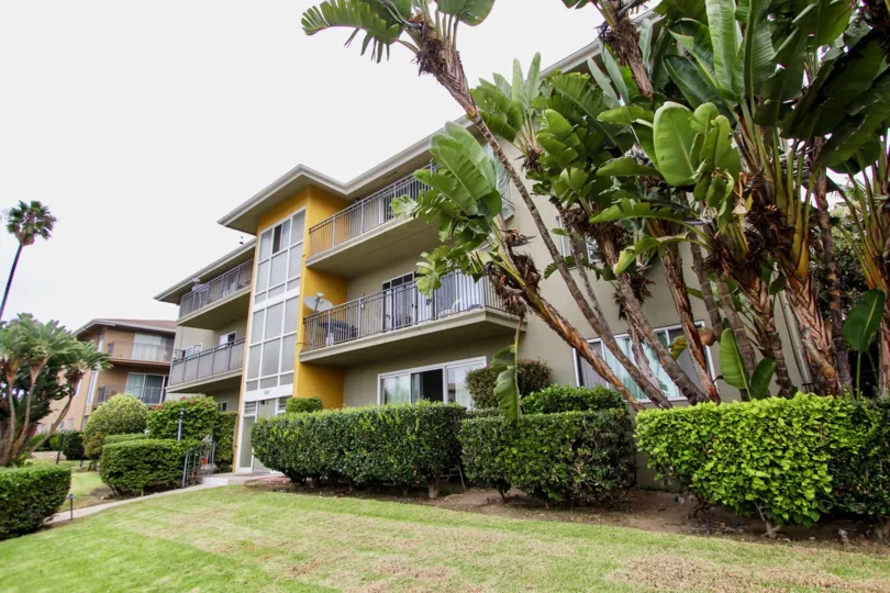 Tall palms outside of a tall residential building in Capri Aire in La Jolla California