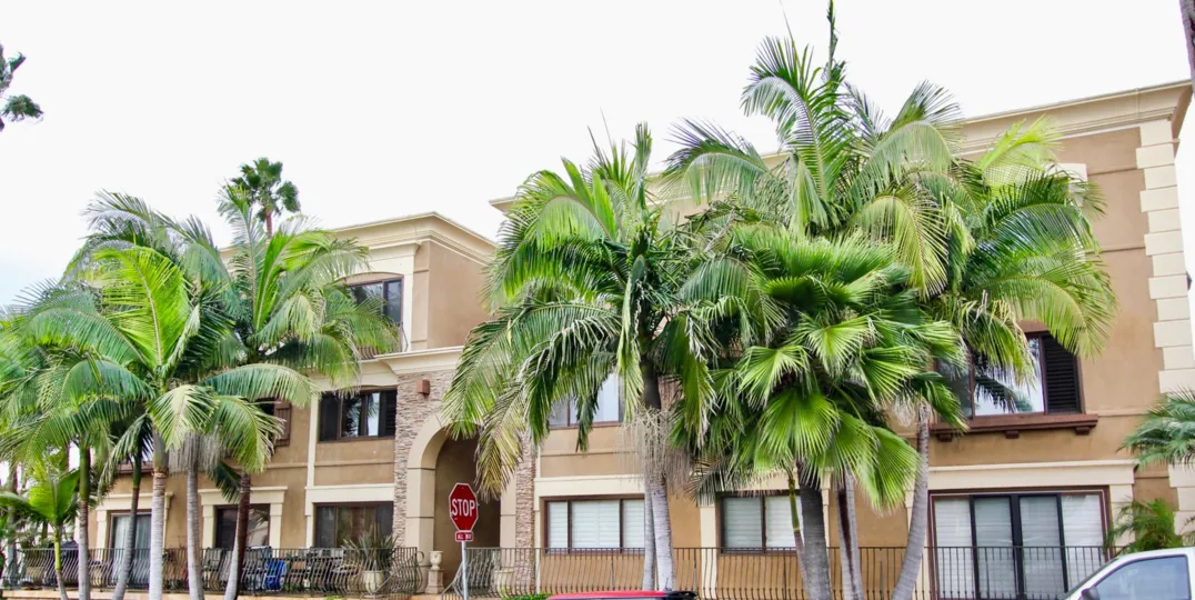 Large brown building with huge palms inside Chiara in La Jolla CA