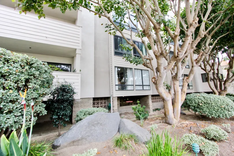 Rocks are placed in front the apartment with long tress and plants