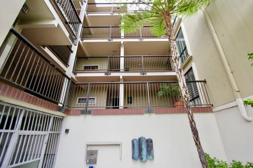 Five story units with a single tree at Clubdoniniums in La Jolla CA