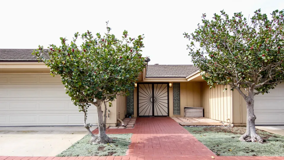 Same height textured trees as welcome for entrance door of Coromandel Park, La Jolla, California.