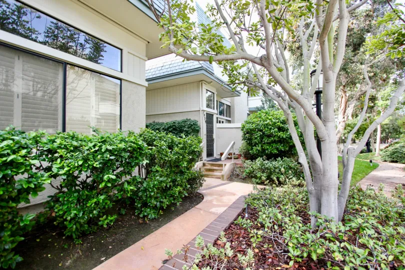 Two housing structures with a tree inside the Del Charro Woods in La Jolla CA