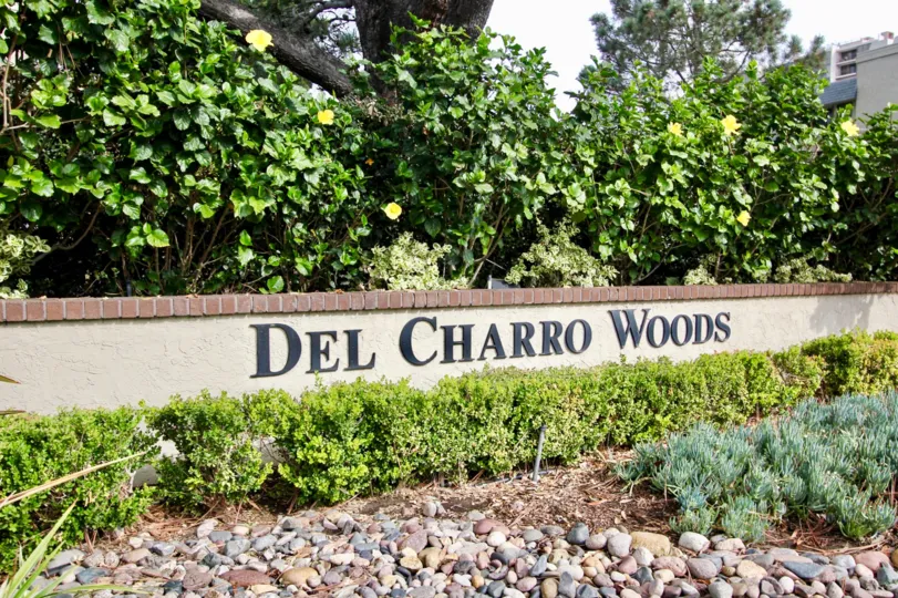 Cement wall with bricks and black writing beneath bushes inside Del Charro Woods in La Jolla CA