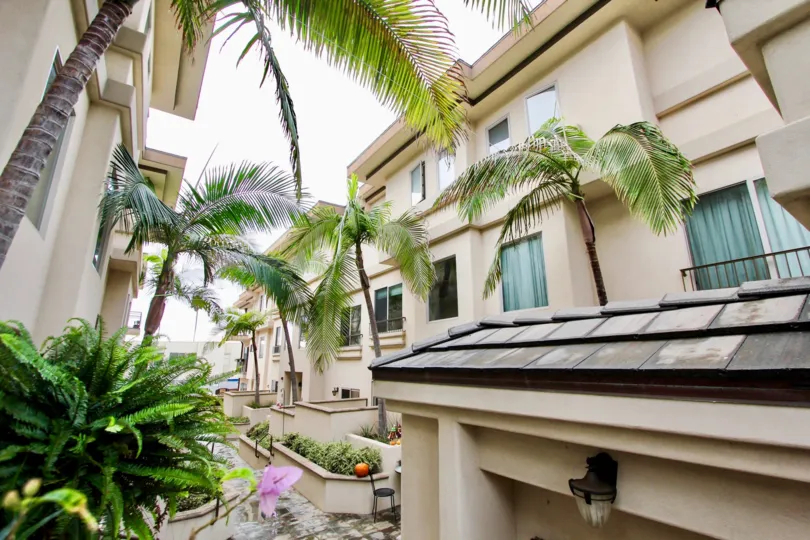 In Wall of the Villa attached with light lamps and has chairs with trees in Draper Villas