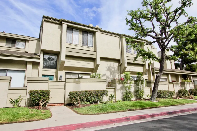 A tree in the Eastbluff giving apartment nice shade with elegant look.