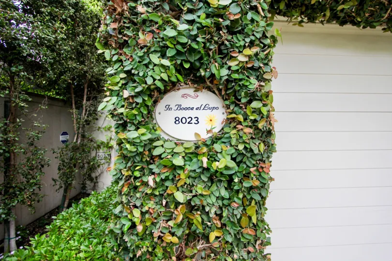 Green leaves with a sign and black lettering at El Paseo Grande in La Jolla CA