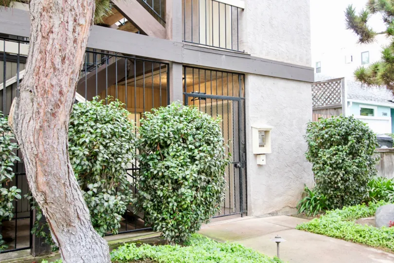 THE BUILDING IN THE HERSCHEL CONDOS WITH THE PLANTS, TREES
