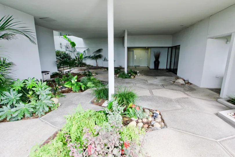 Plants & rocks inside of a lobby in La Jolla Chelsea at La Jolla CA