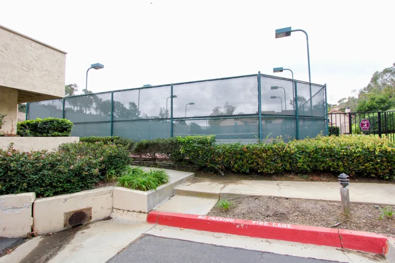 In some place of the La Jolla Hideaway is covered with net and has light lamps