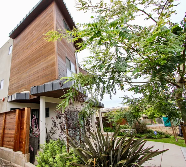 A sunny day in the area of the La Jolla Lofts, trees, wood, siding