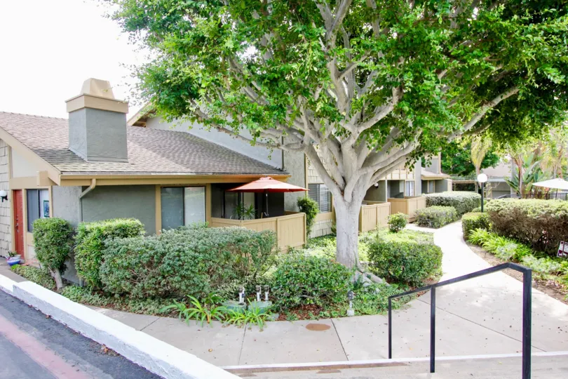 Large green tree in front of residence at La Jolla Park Villas in La Jolla CA