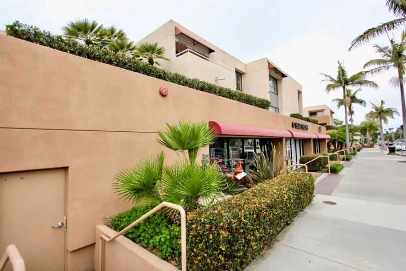 La Jolla Promenade in la jolla nice attractive place with beautiful long way nice tree very famous in california