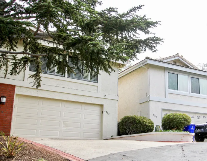 Pine tree in front of housing inside La Jolla Woods in La Jolla California