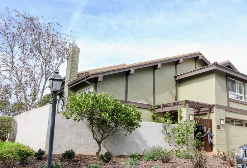 THE HOUSE IN THE LA JOLLA WOODS WITH THE FIG TREE, PLANTS, LIGHT