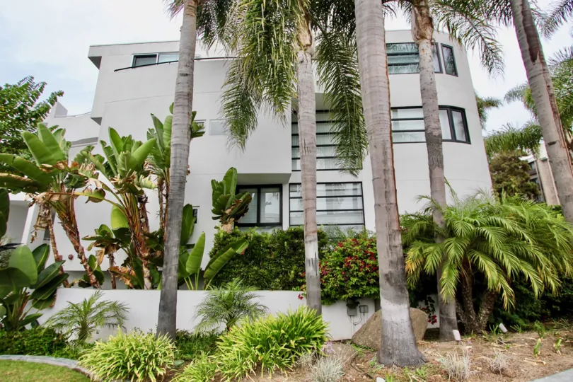 A white colored villa surrounded by trees in Lighthaus