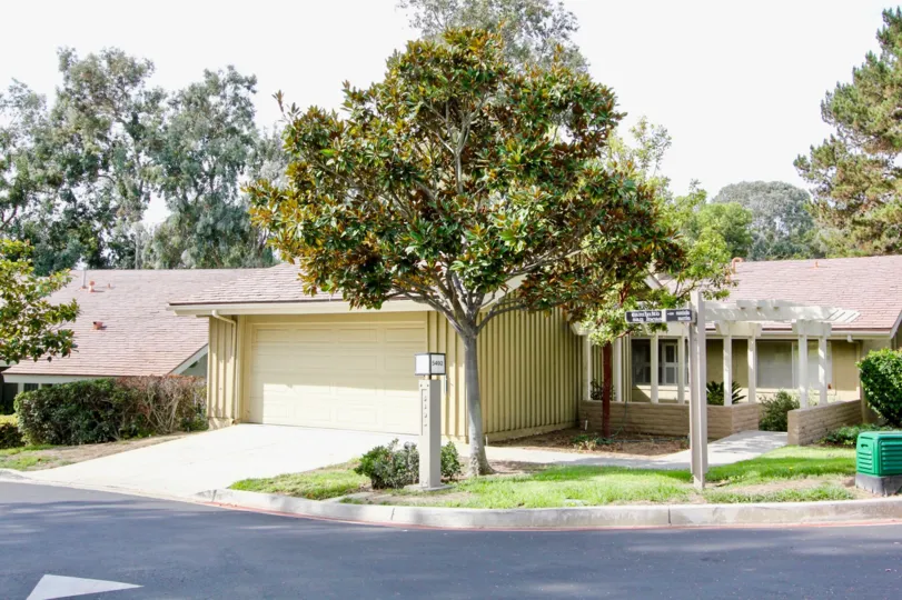 Single tree in front of a home inside Mount La Jolla in La Jolla California