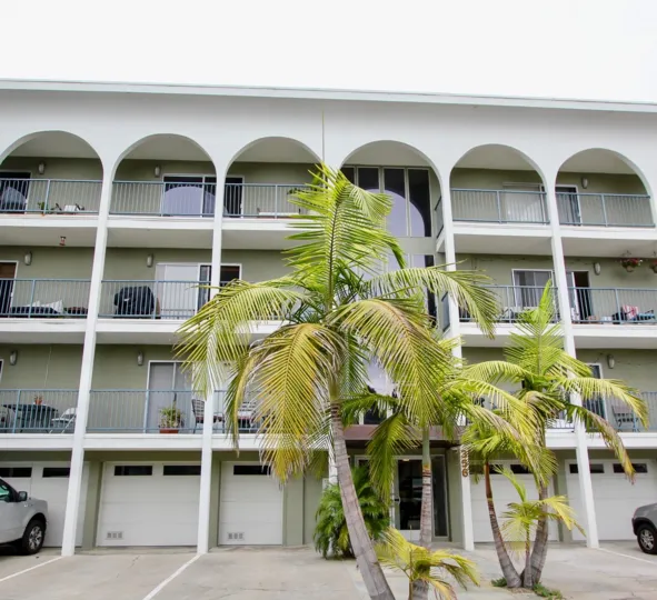 THE APPARTMENTS ARE BEAUTIFUL AND THE COCONUT TREE IS VERY CUTE WITH FRONT OF CARS