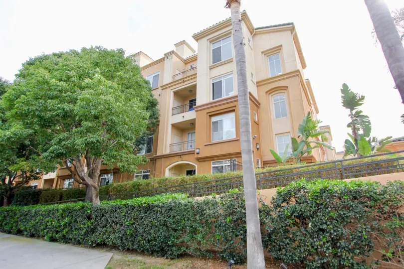 The park in the Regents La Jolla with trees and backside of the park has apartments