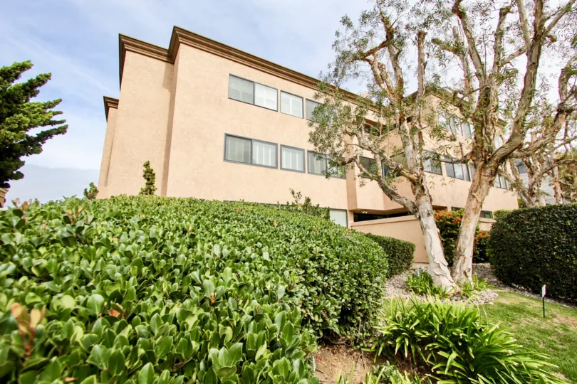 A large set of hedges surrounded plants and trees in front of Sandpiper in La Jolla CA