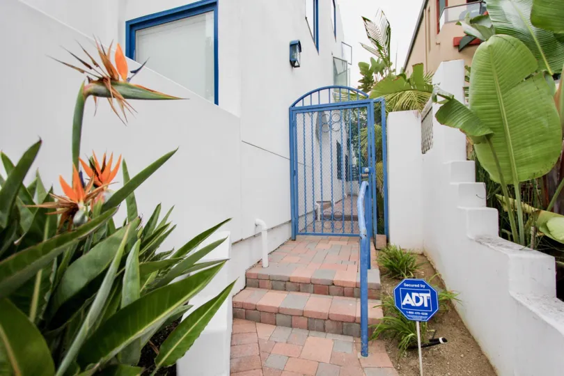 Birds of paradise near a blue entrance at Santorini West in la JOlla CA